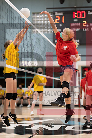 Redwood MS VBall-81