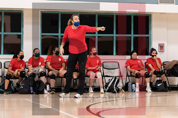 Redwood MS VBall-22