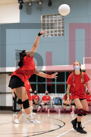 Redwood MS VBall-133