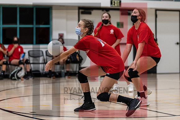 Redwood MS VBall-75