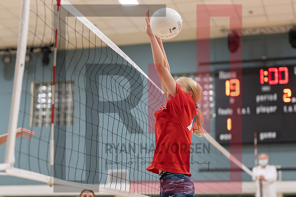 Redwood MS VBall-71