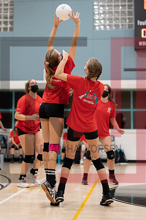 Redwood MS VBall-147