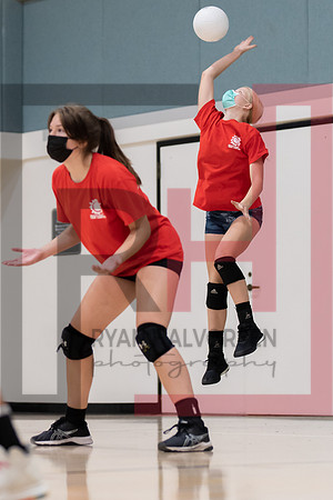 Redwood MS VBall-30