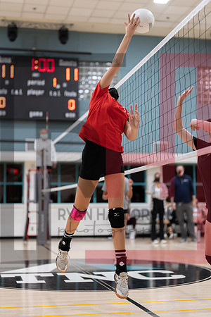 Redwood MS VBall-116