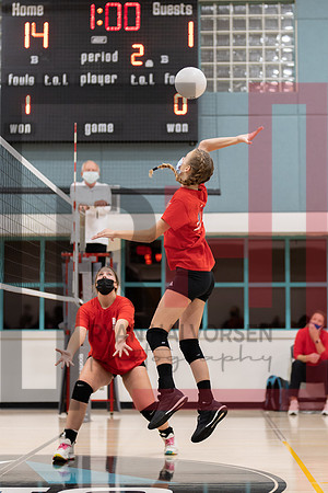 Redwood MS VBall-51