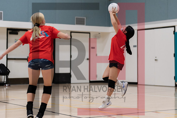 Redwood MS VBall-36