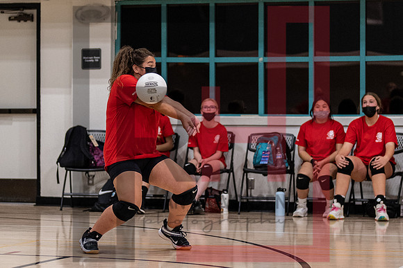 Redwood MS VBall-184