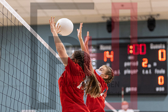 Redwood MS VBall-48