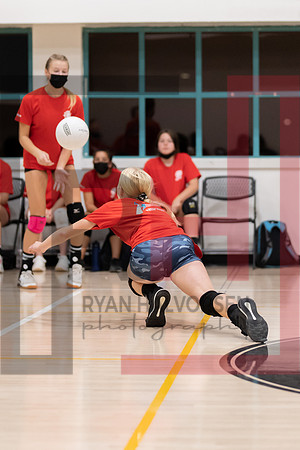 Redwood MS VBall-176