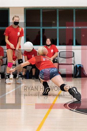 Redwood MS VBall-175