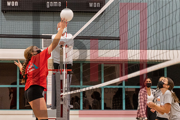 Redwood MS VBall-98