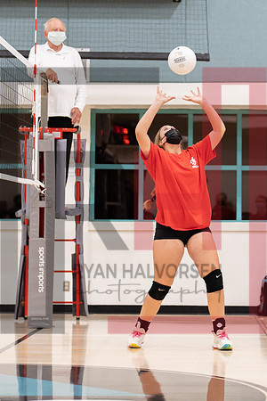 Redwood MS VBall-41