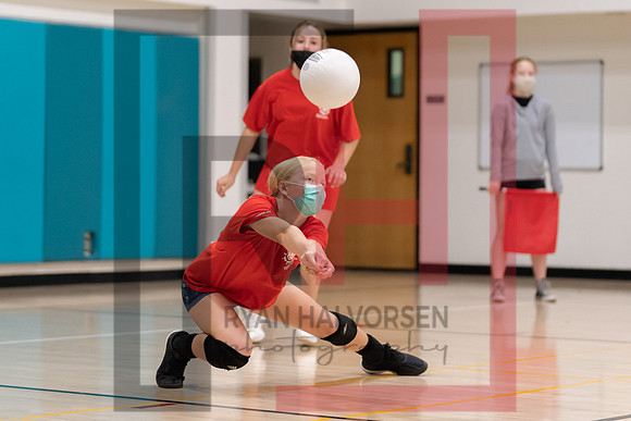 Redwood MS VBall-130