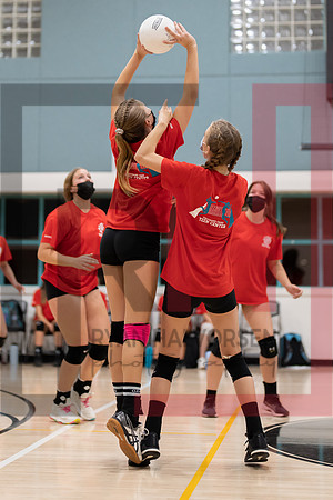 Redwood MS VBall-146