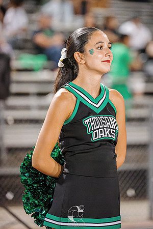 DSC05043