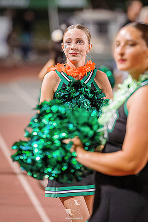DSC05567