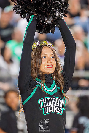 DSC06878