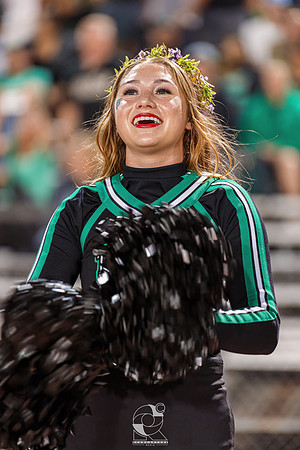 DSC09050