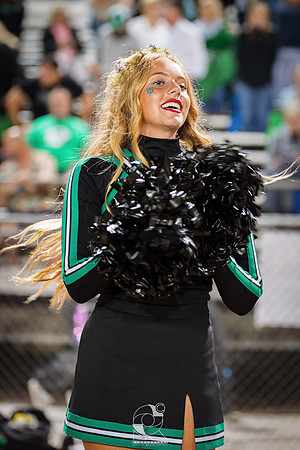 DSC09096