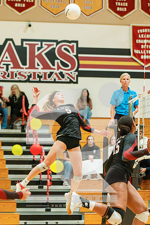 RJH03508-ARW_DxO_DeepPRIME