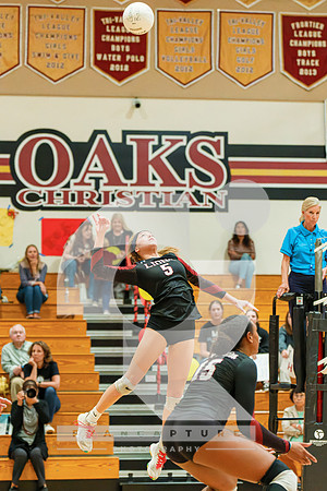 RJH03520-ARW_DxO_DeepPRIME
