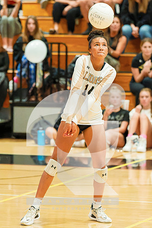RJH03595-ARW_DxO_DeepPRIME