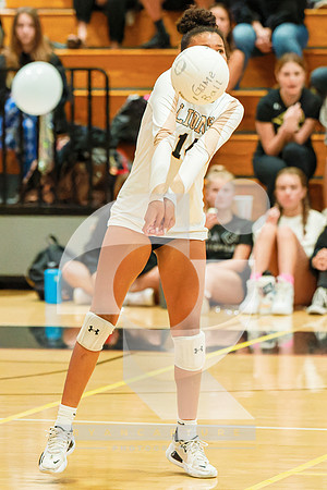 RJH03596-ARW_DxO_DeepPRIME