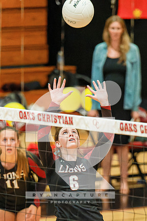 RJH03736-ARW_DxO_DeepPRIME