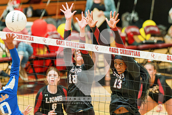 RJH03785-ARW_DxO_DeepPRIME