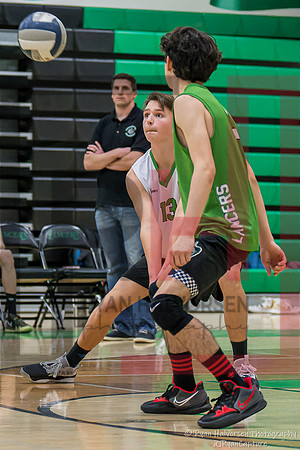 TOHS v Agoura VBall 6563
