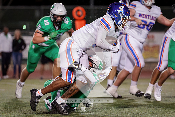DSC03469