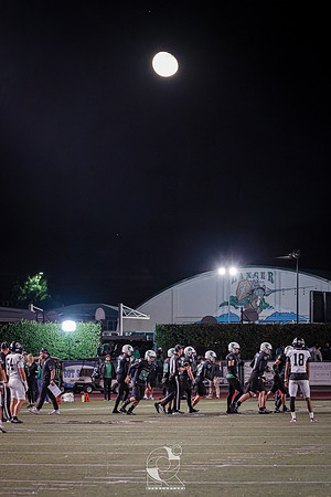 DSC02010