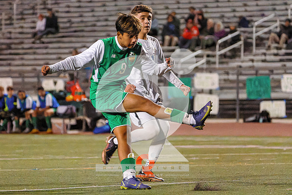RJH09137-ARW_DxO_DeepPRIME