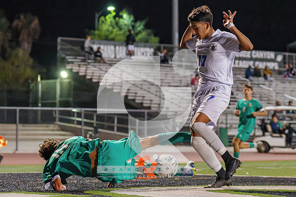 RJH00039-ARW_DxO_DeepPRIME