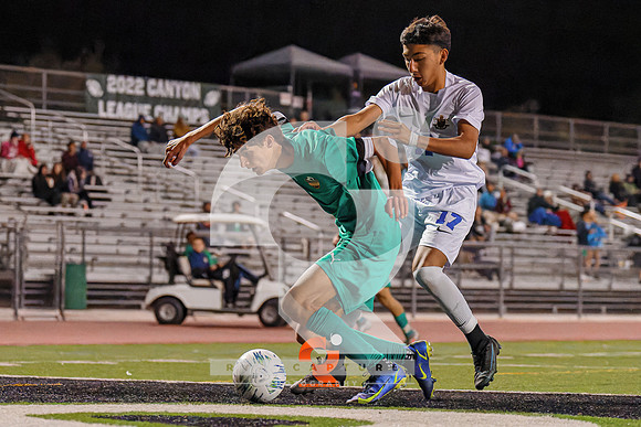 RJH00036-ARW_DxO_DeepPRIME