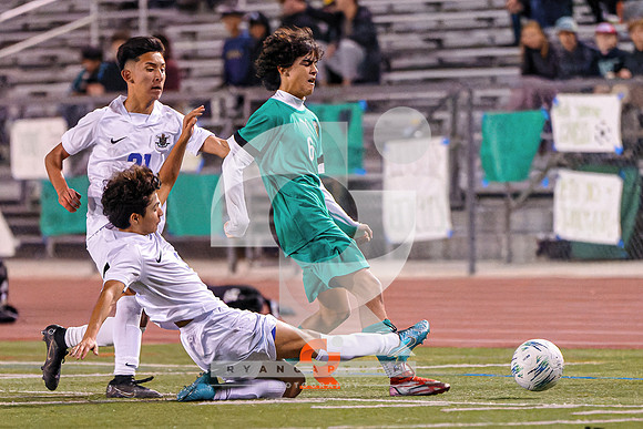 RJH00399-ARW_DxO_DeepPRIME