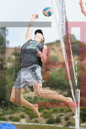 _RJH6964
