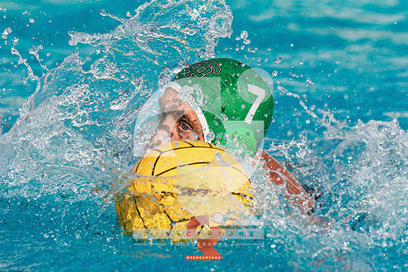 RJH06164