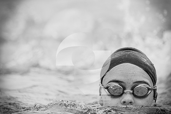 PV_v_ SB805_ 03312