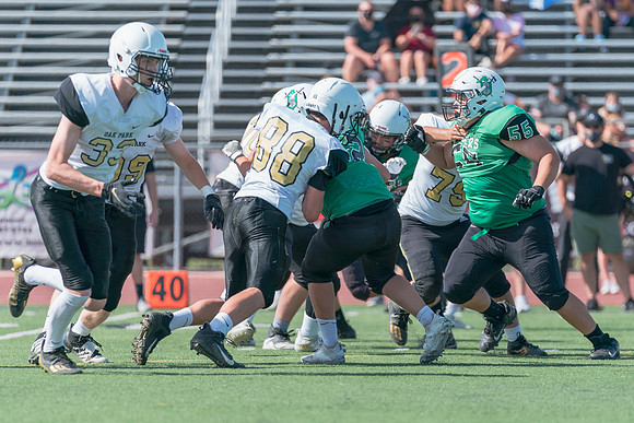 DSC01010