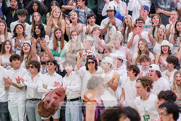 RJH04780-ARW_DxO_DeepPRIME-2