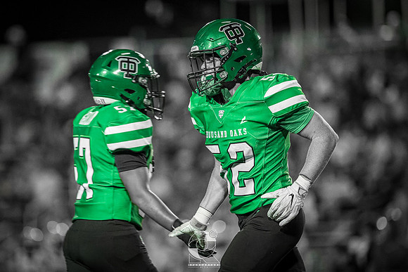 DSC04563-2