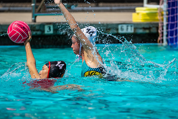 _RJH7149