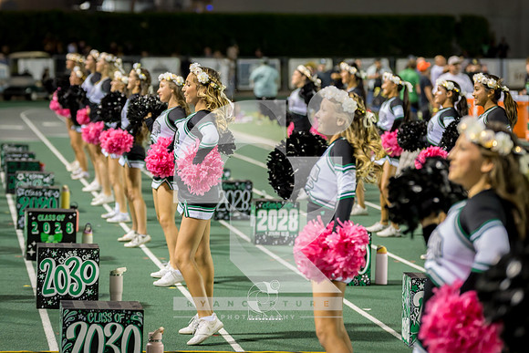 DSC06238