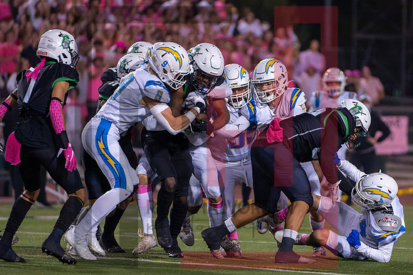 TOHS v Agoura--48