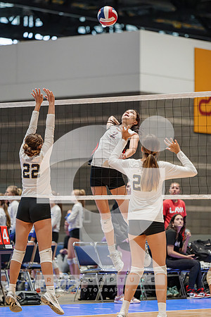 RJH07672-ARW_DxO_DeepPRIME