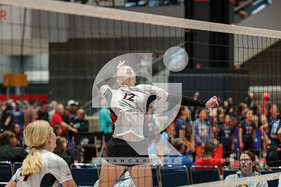 RJH07884-ARW_DxO_DeepPRIME