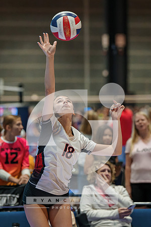 RJH08031-ARW_DxO_DeepPRIME