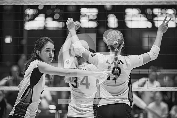 RJH08717-ARW_DxO_DeepPRIME-3