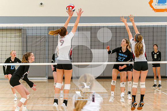 RJH07350-ARW_DxO_DeepPRIME